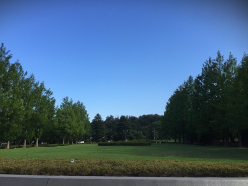 f0222387_20341185.jpg