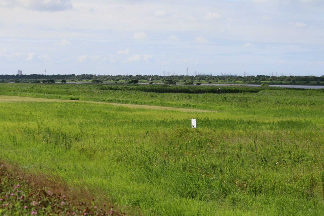 a0127090_1022314.jpg