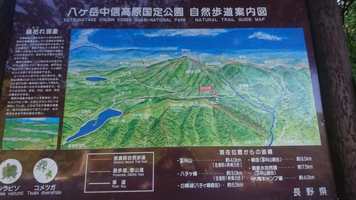 e0015490_1341438.jpg