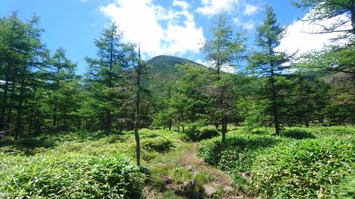 e0015490_13514624.jpg