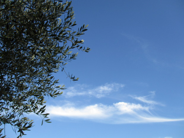 d0333091_18205425.jpg