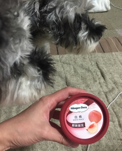 b0188998_22181280.jpeg
