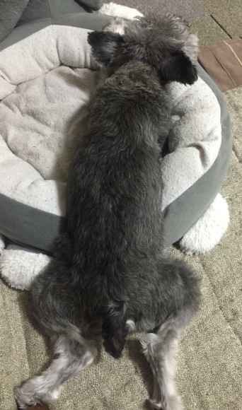 b0188998_22184828.jpeg