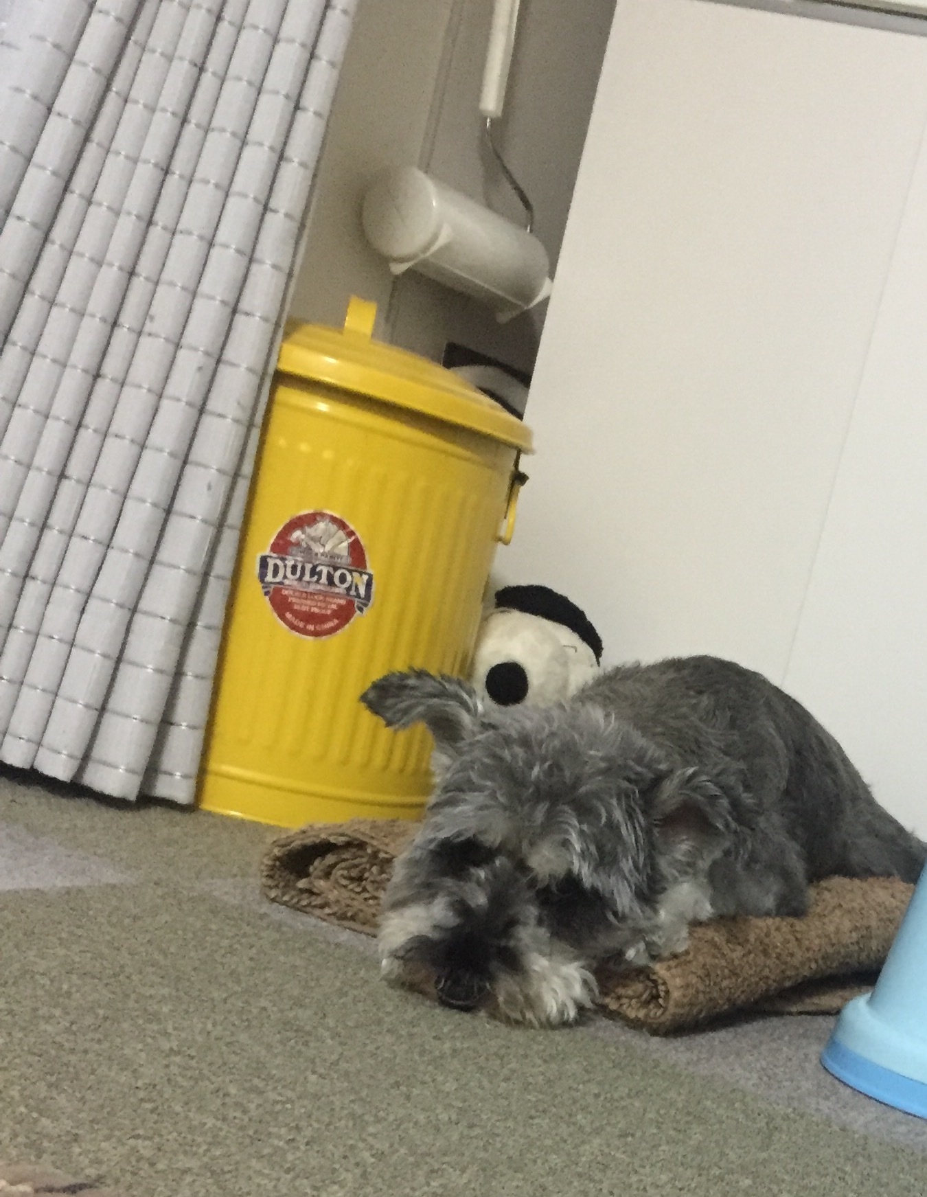 b0188998_22192377.jpeg