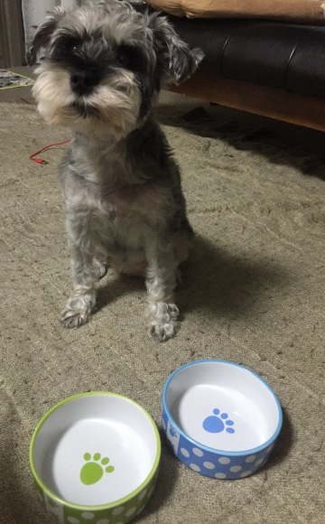 b0188998_22193300.jpeg