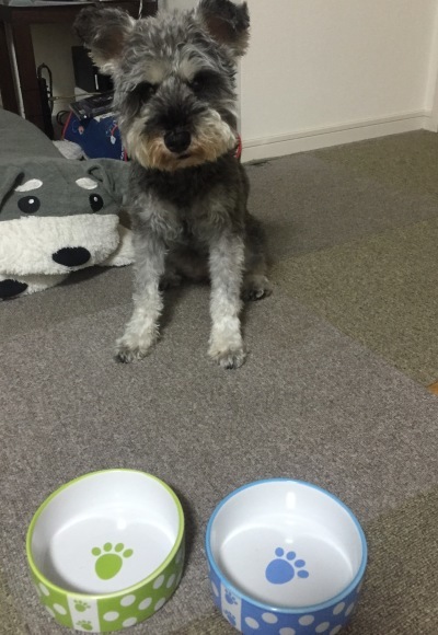 b0188998_22194341.jpeg