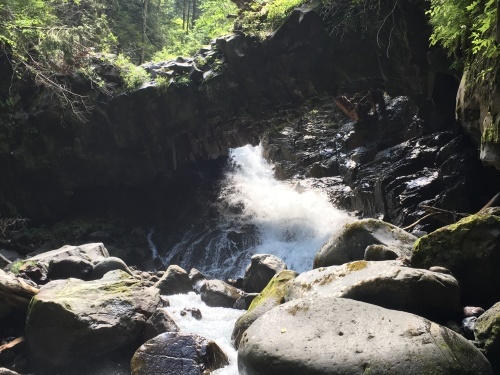 e0122100_11421666.jpg