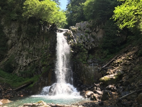 e0122100_11441371.jpg