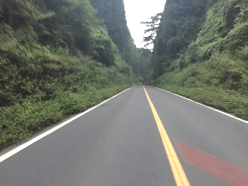 e0265002_16155907.jpg