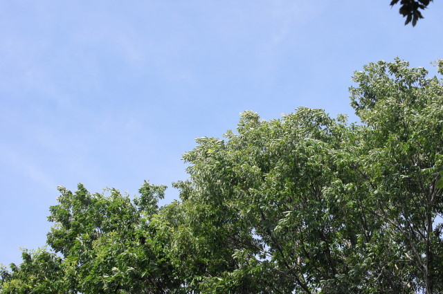 f0327308_09024514.jpg