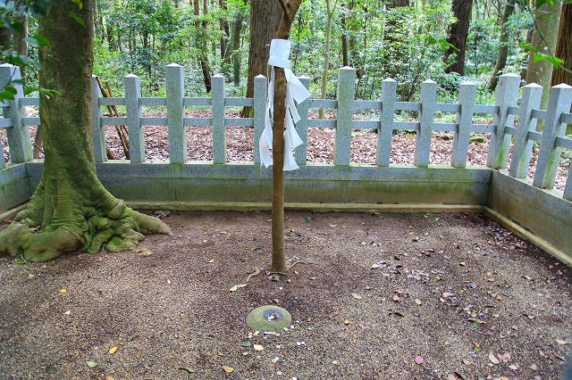 e0121110_222705.jpg