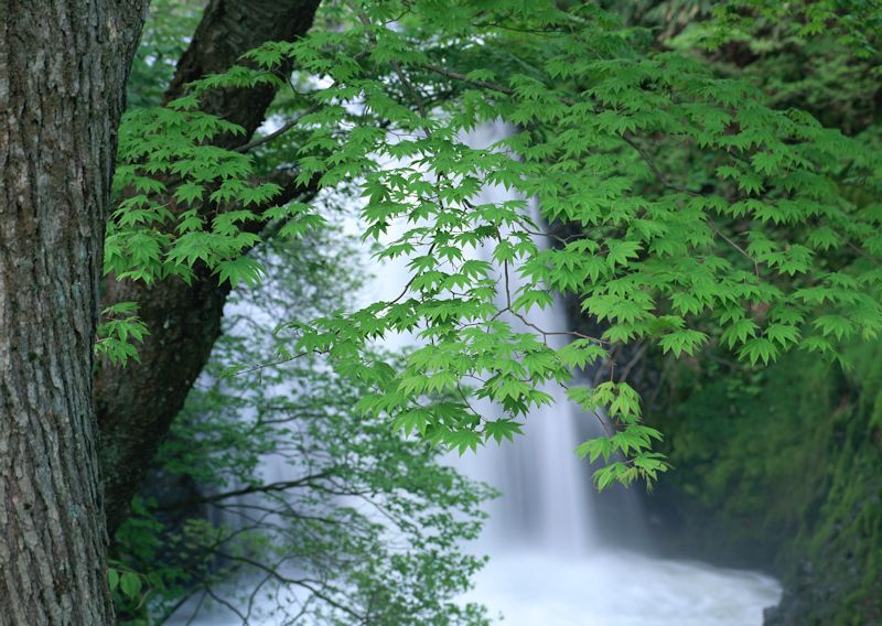 b0057612_21165148.jpg