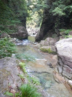 c0359615_20115115.jpg
