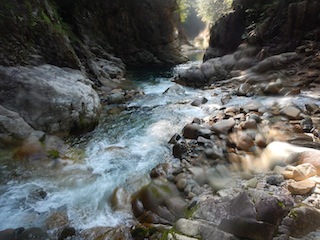 c0359615_20121290.jpg
