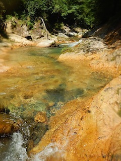 c0359615_20122961.jpg