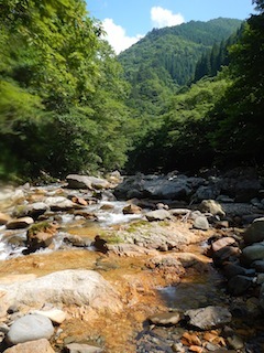 c0359615_20123960.jpg