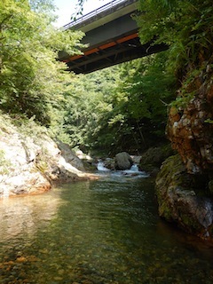c0359615_20124971.jpg