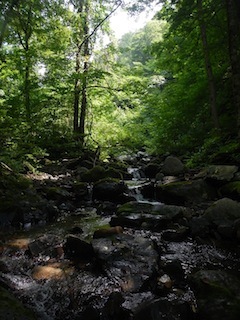 c0359615_20185233.jpg