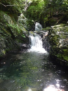 c0359615_20190673.jpg