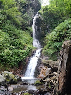 c0359615_20191991.jpg