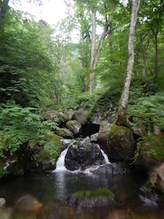 c0359615_20192981.jpg