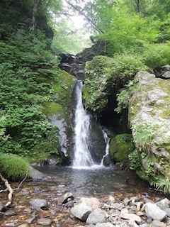 c0359615_20193828.jpg