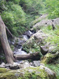 c0359615_20195816.jpg