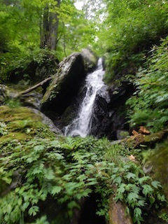 c0359615_20201108.jpg