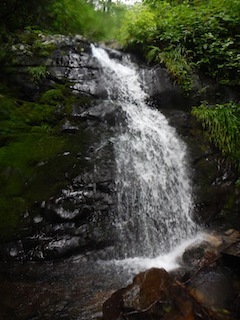 c0359615_20202495.jpg
