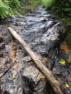 c0359615_20205921.jpg