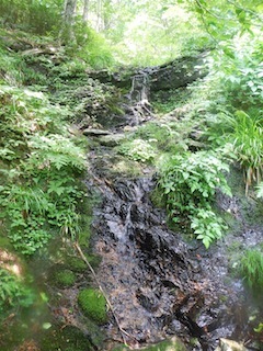 c0359615_20213659.jpg