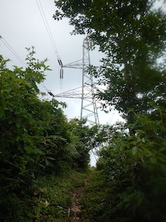 c0359615_20215914.jpg