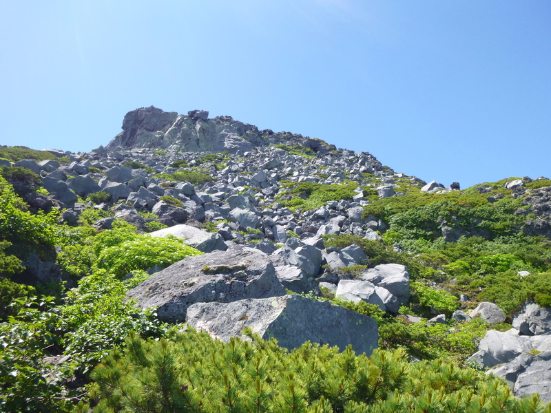 d0170615_19203634.jpg