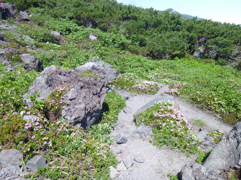 d0170615_19205272.jpg