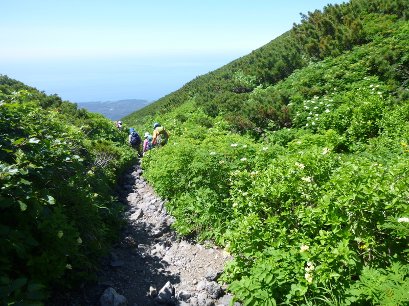 d0170615_1922333.jpg