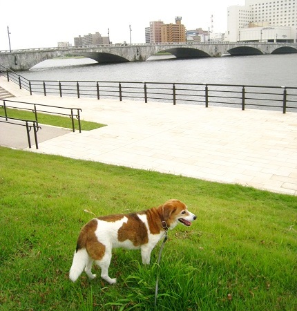 c0084117_2232363.jpg