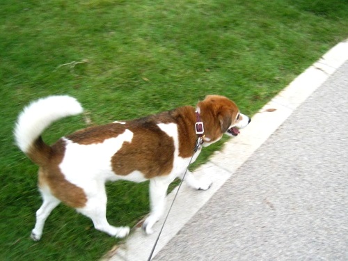 c0084117_22324136.jpg