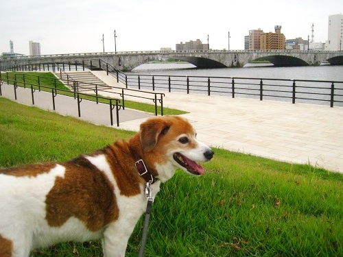 c0084117_223751.jpg