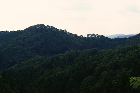 f0151327_09514857.jpg