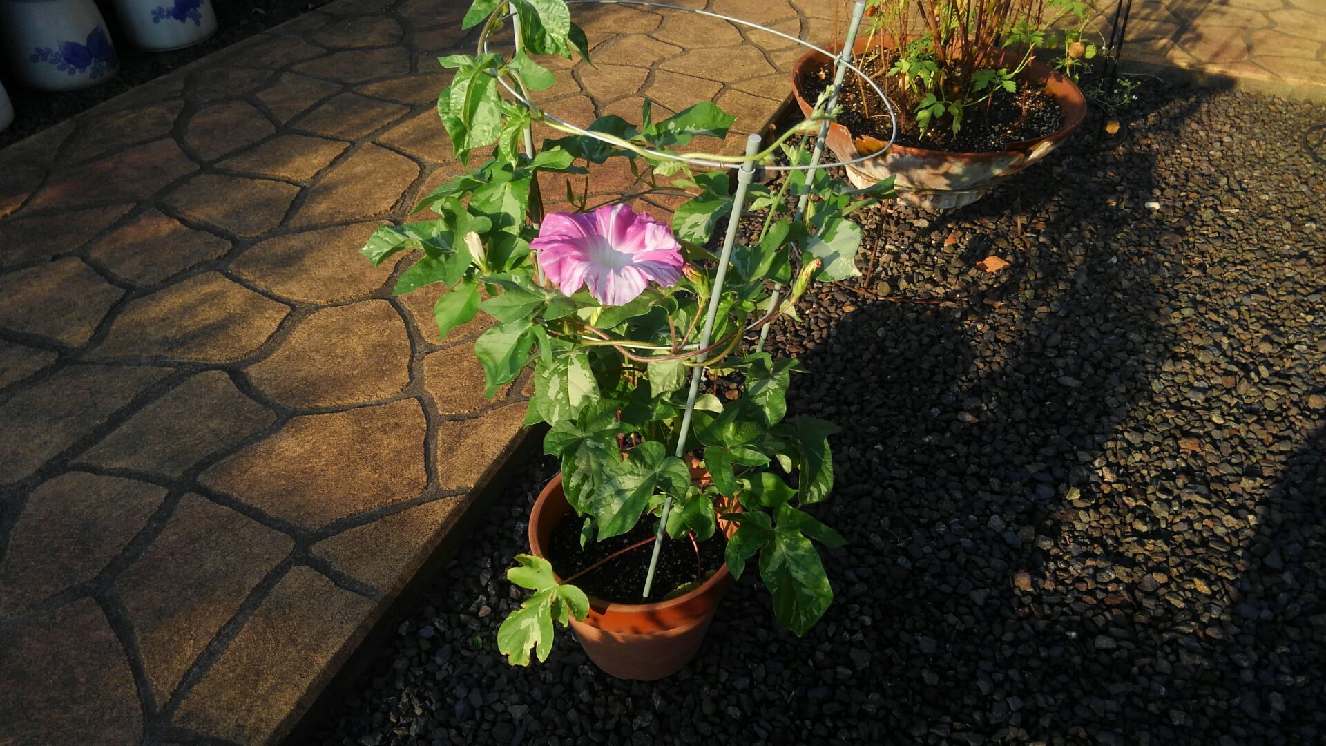 f0111128_08580709.jpg