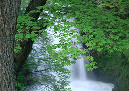 f0338839_17015940.jpg