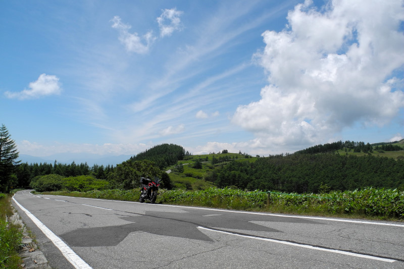 d0164443_1785891.jpg
