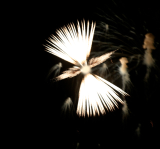 f0179947_1591778.jpg