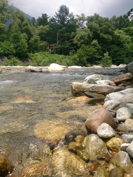 f0046262_00000019.jpg