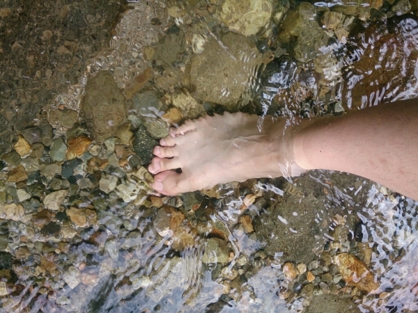 f0046262_00000430.jpg