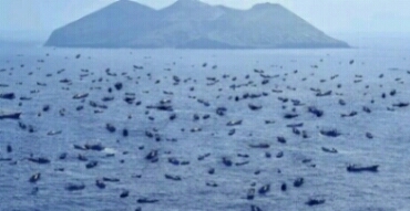 e0001663_22350818.jpg