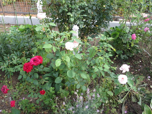 a0243064_22264632.jpg