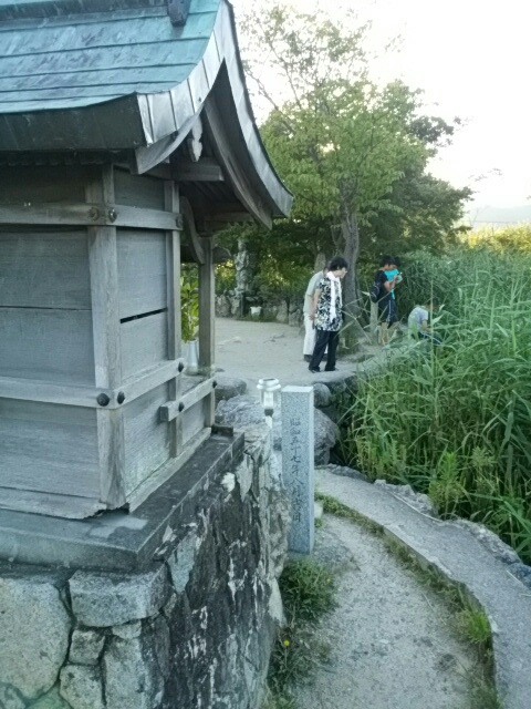 f0200871_19426.jpg