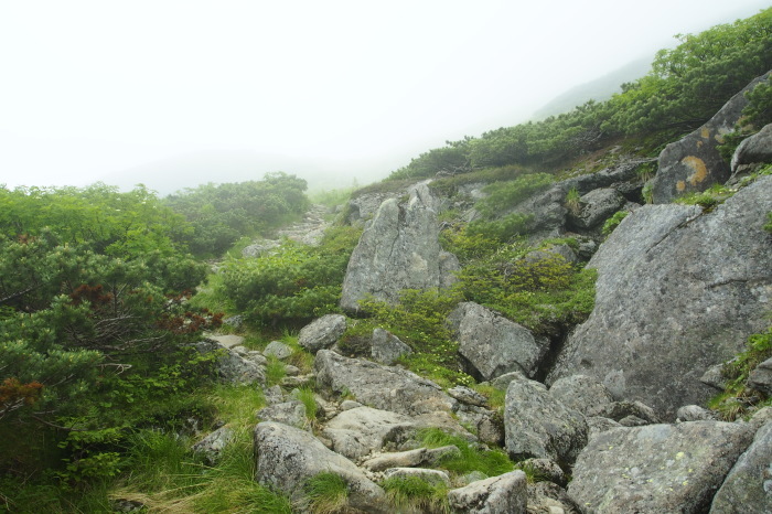 e0307372_10135980.jpg