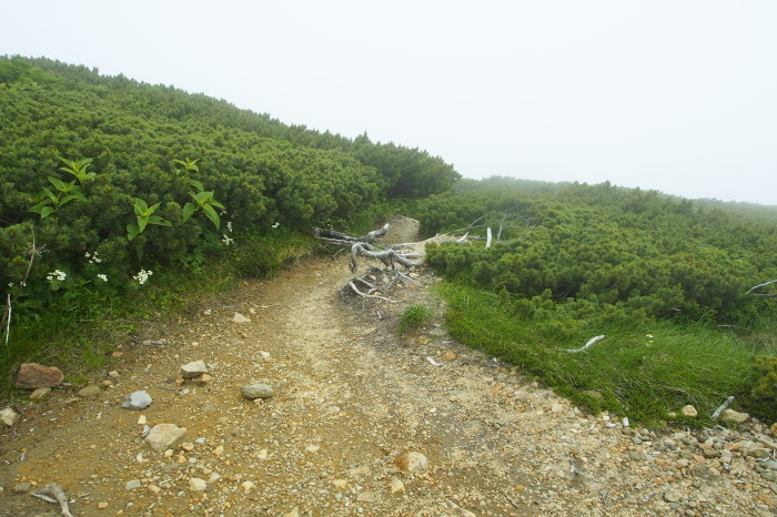 e0307372_10413716.jpg